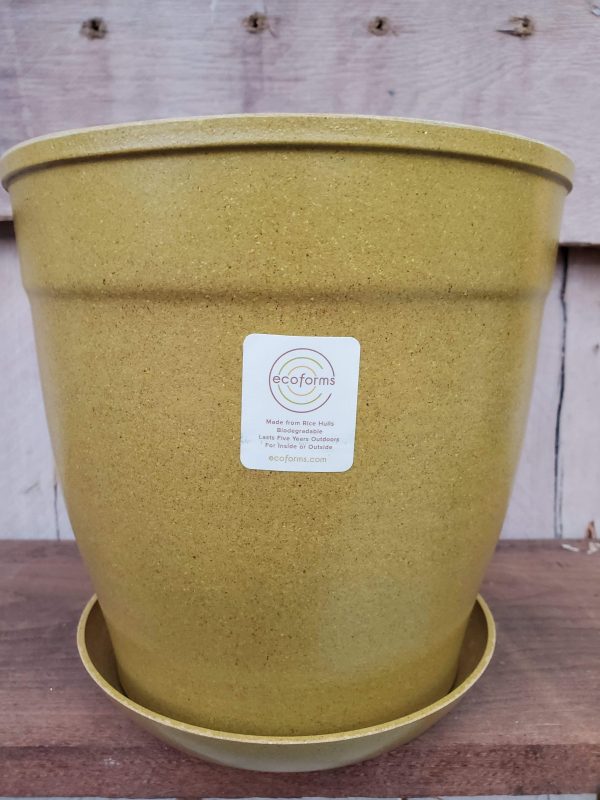 EcoForms Nova 7 Inch Rich Hull Pot For Cheap