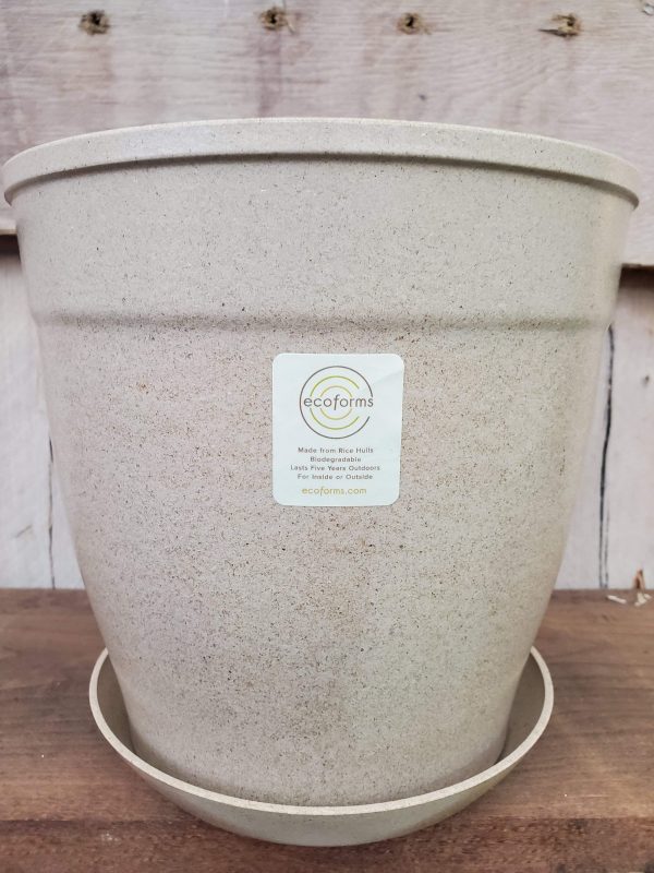 EcoForms Nova 7 Inch Rich Hull Pot For Cheap