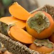 American Persimmon Tree Discount