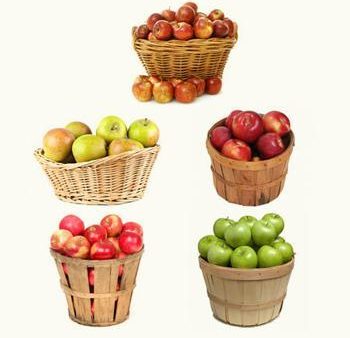 5-in-1 Apple Tree For Discount