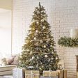 Fresh Cut Christmas Tree - N.C. Fraser Fir Fashion