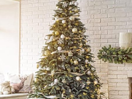 Fresh Cut Christmas Tree - N.C. Fraser Fir Fashion