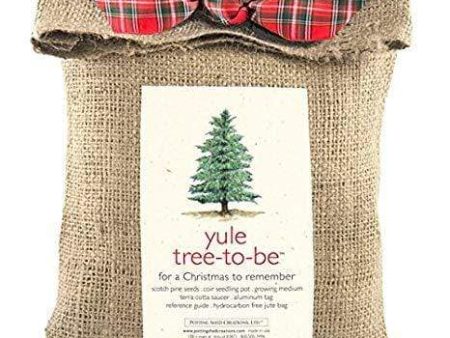 Tree-To-Be-Yule Fashion