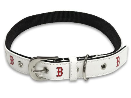 Dog Collar - Embroidered Online now