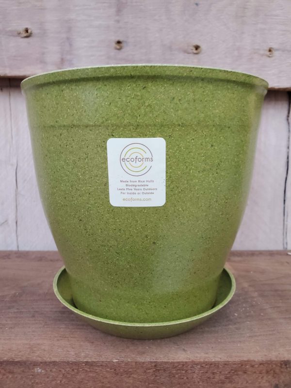 EcoForms Nova 6 Inch Rice Hull Pot Fashion