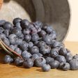 Aurora Blueberry Bush - USDA Organic Online Sale