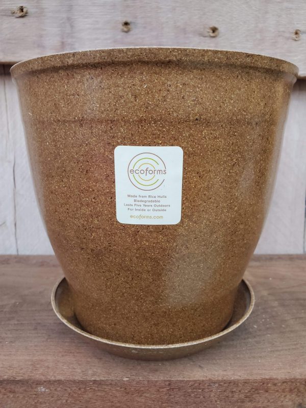 EcoForms Nova 6 Inch Rice Hull Pot Fashion