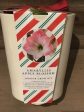 Amaryllis Apple Blossom in a White Pot For Sale