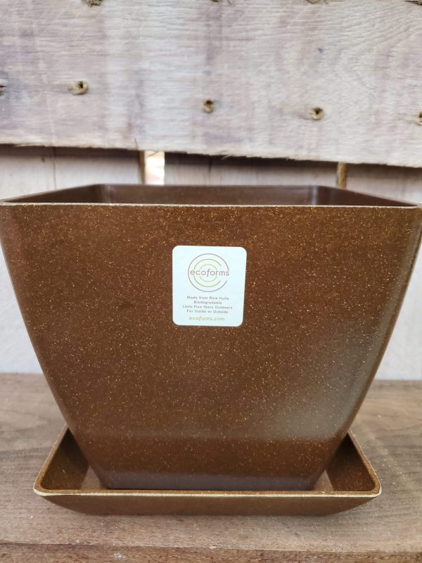 EcoForms Quadra 6 Inch Square Rice Hull Pot Online Hot Sale