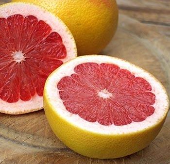 Ruby Red Grapefruit Tree Online now