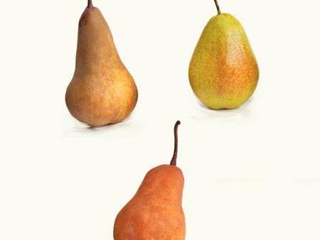 3-in-1 Pear Tree Sale