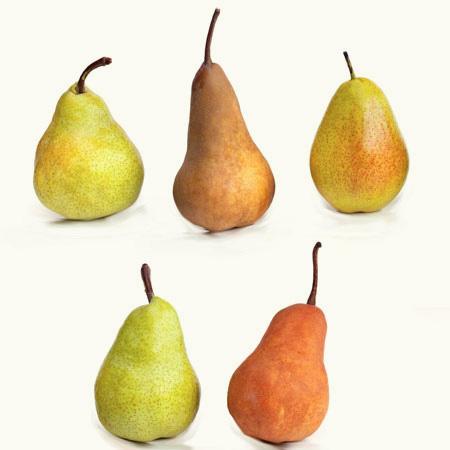 5-in-1 Pear Tree Cheap